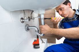 Best Trenchless Pipe Repair  in Lake Goodwin, WA